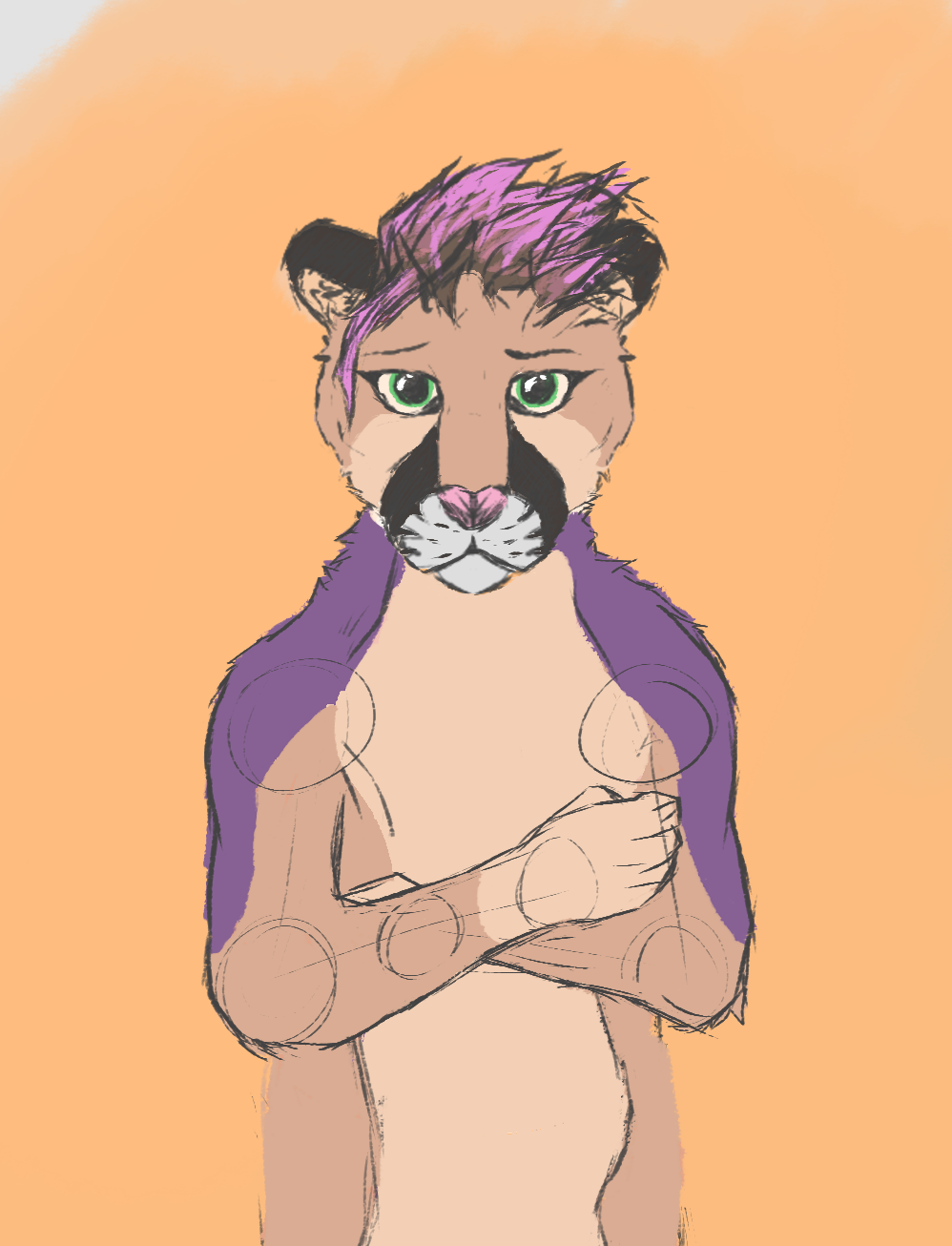 a sketch of a alternate sona