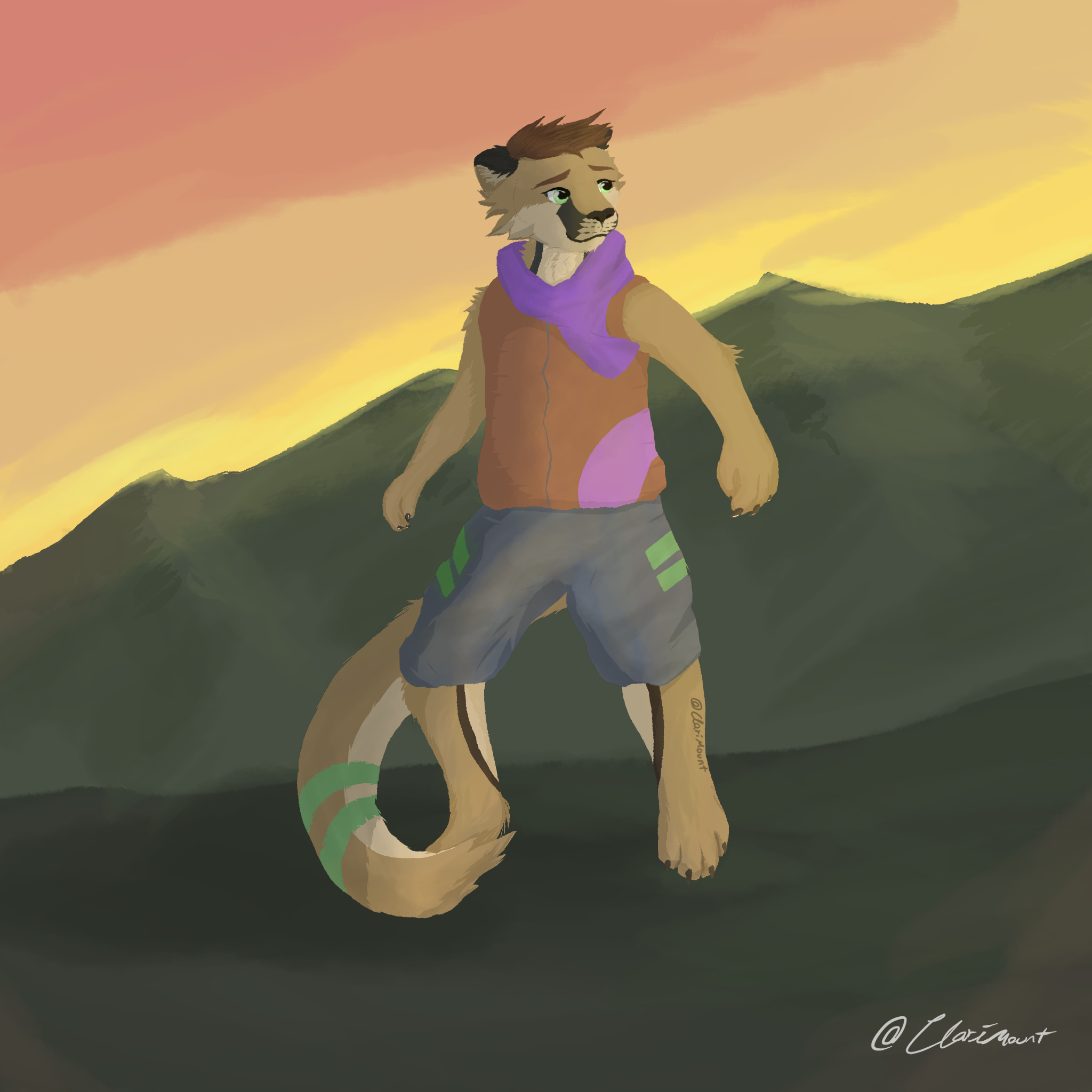 Clari redraw
